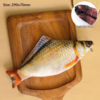 Crucian Carp Pencil Case