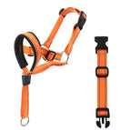 Orange / L