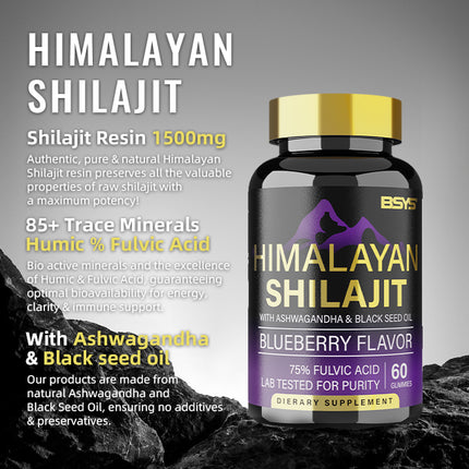 BSYS SHILAJIT GOMMETJIES 60'S