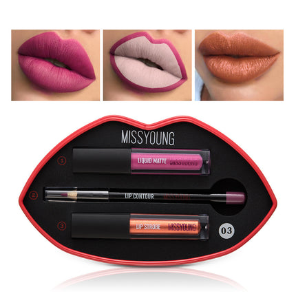 Vroue Se Matte Pêrel Lipglans Lipstiffie Pen Stel