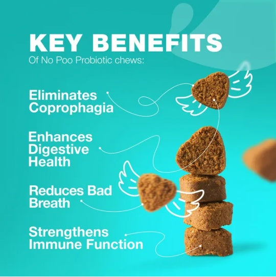 No Poo Chews For Dogs Coprophagia Deterrent For Dogs Forbid For Dogs Stool Eating Deterrent Dog Probiotics For Digestive Health Digestive Gut Immune Health Treats No Poop Eating For Dogs