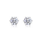 0.5karaat / Platinumkleur