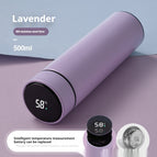 Swappable Batteries Purple / 500ml