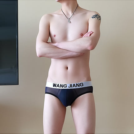 Breathable Mesh Men's Triangle Underwear