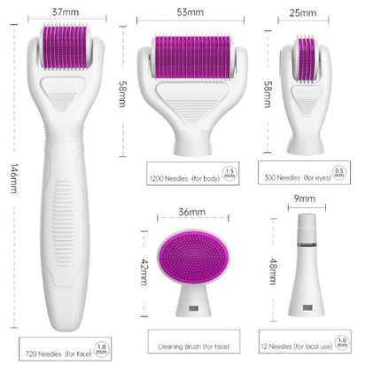 DermaKit™ 6-in-1 Derma Roller Kit Facial Microneedling Set Facial Skin Care Tools Gift Set