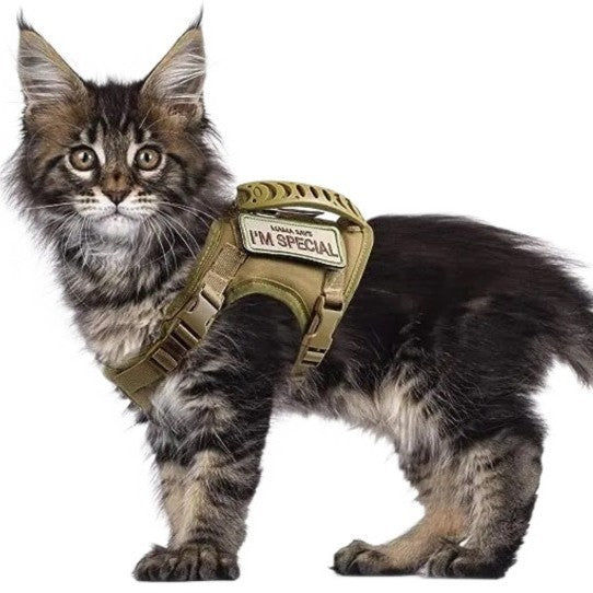 Cat Chest Strap Vest Hand Holding Rope