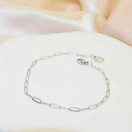 Vlekvrye Staal Nie-verbleikende Hoë-end Titaan Staal Armband