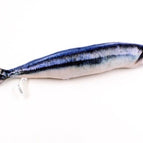 1 / 20cm
