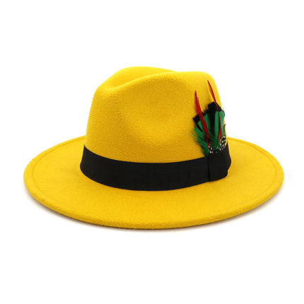 Men's And Women's New Woolen Broad-brimmed Hat Classic Top Fashion Feather Hat