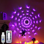 Purple / USB