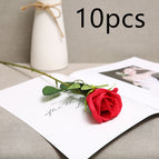 Red10pcs
