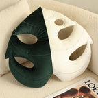 Wit Sierlike Karp Skilpad / Groot