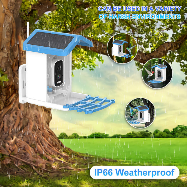 Intelligent Bird Feeding Recognition Solar HD Feeder