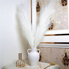 Ivory / 1PC