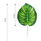 Watermelon leaves