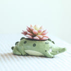 Crocodile