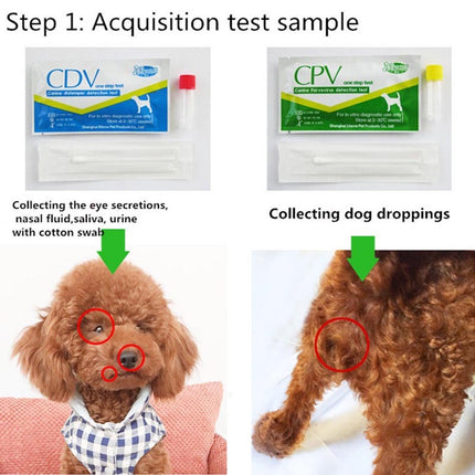 Pet CDV / CPV test paper