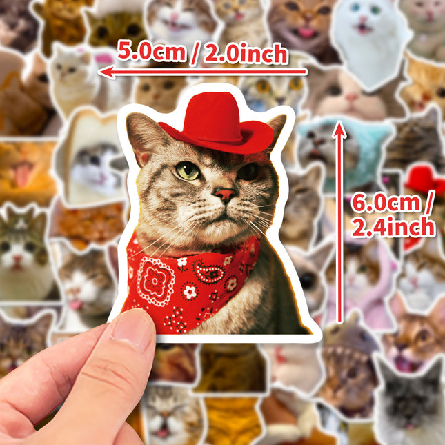 50 Pieces Of Realistic Kitten Creative Decorative Water Cup Notebook Journal Small Stickers