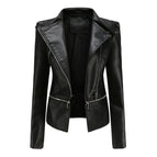 Black / 2XL