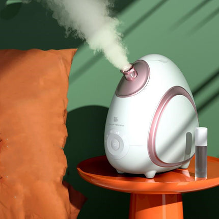 Huishoudelike Gesig-aromaterapie Stoomapparaat Koud En Warm