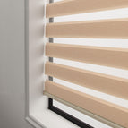 Sweet apricot / One square meter