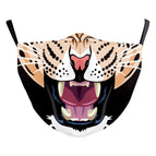 B178 1357 / Adult Average Size