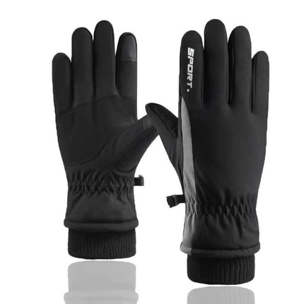 Couple Winter Fleece Thickened Warm And Windproof Gloves