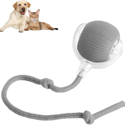 Rolling Ball Ball For Dogs Doggie Ball Interactive Dog Smart Ball Toy Interactive Cat Ball Toy 360  Smart Automatic Rolling Pet Ball