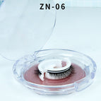ZN06