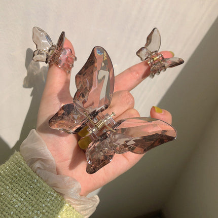 Drie Vlinderklemme Vir Deursigtige Woudmeisies