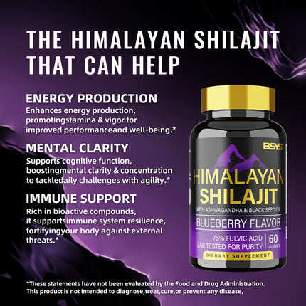BSYS SHILAJIT GOMMETJIES 60'S