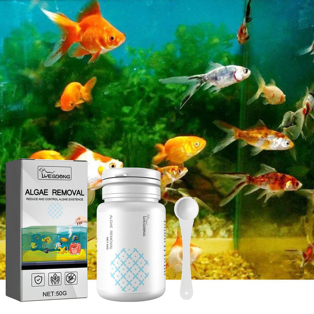 Igbondigal Lichen Aquarium Reinigungszubehör Algizid zur Entfernung von Moos und Grünalgen