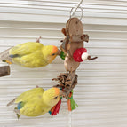 Bags / Apple Wood Piece Bark