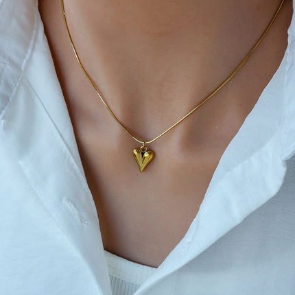 Stylvolle Titaanstaal Halsband wat Nie Sal Vervra nie