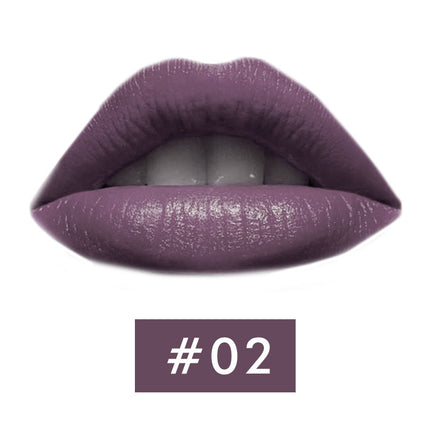 Beauty Kreatiewe Stilering Lipstiffie Nuwe Sampioen Kop Mat Lipstiffie