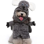 Raccoon / L