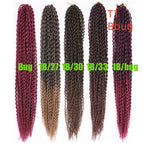 T1B-fout