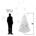 6ft