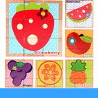 Fruit
