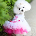 B2 pink / L