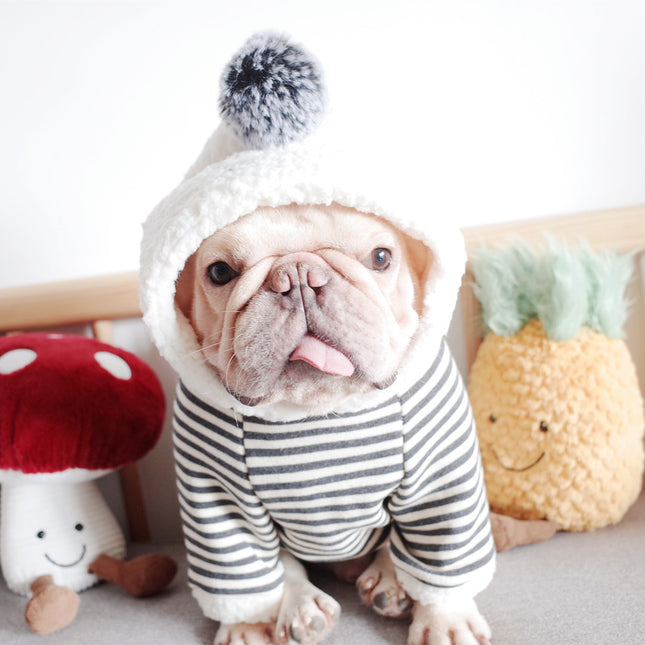Pet Dog Lamb Velvet Striped Knitted Hooded Sweater