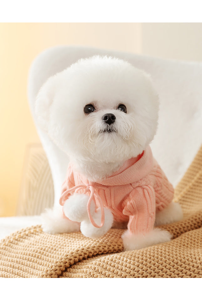 Cat Fur Ball Sweater Two Feet Warm Hooded Dogs Teddy Pet Clothes