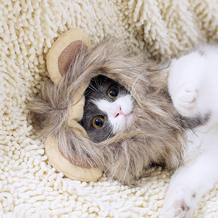 Lion headgear cat hat cute transformation decoration