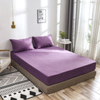 Purple A / 50X75X2
