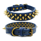 Blue / L