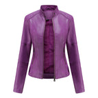 Purple / 3XL