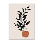 NQ369D / 10x15cm
