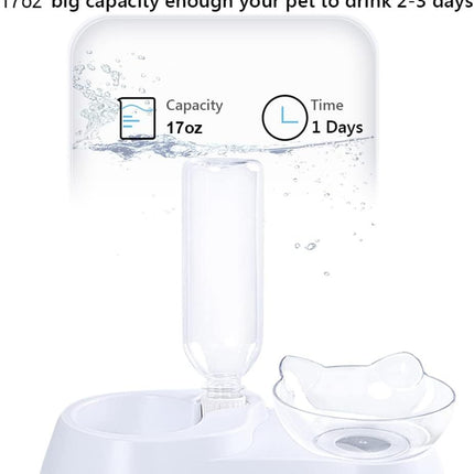 Double Dog Cat Bowls Pets Water And Food Bowl Set 15 Tilted Water And Food Bowl Set With Automatic Waterer Bottle For Small Or Medium Size Dogs Cats