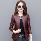 Wine Red / 3XL