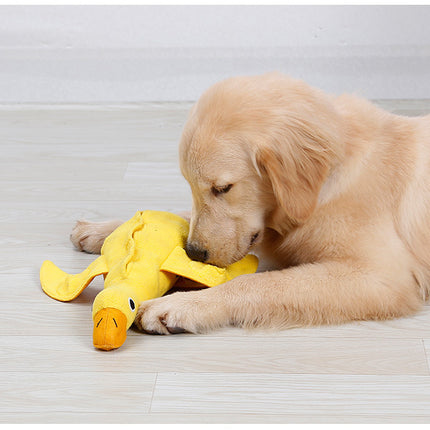 Missing Food Toys